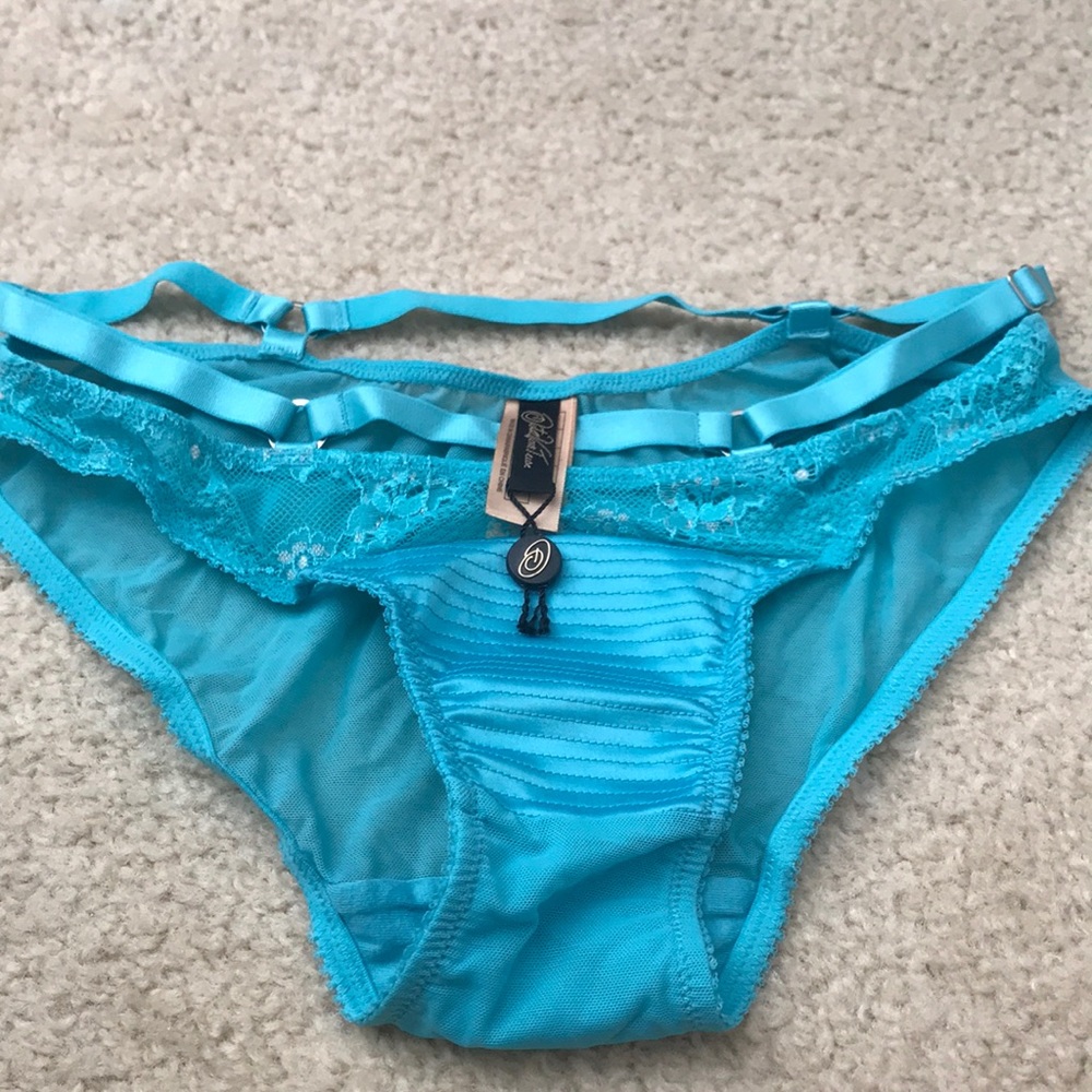 Dita Von Teese Madame X Upper Lace Front, Sheer Back AquaGreen Bikini Underwear